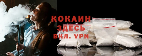 сатива Абаза