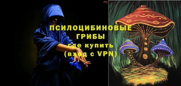 сатива Абаза