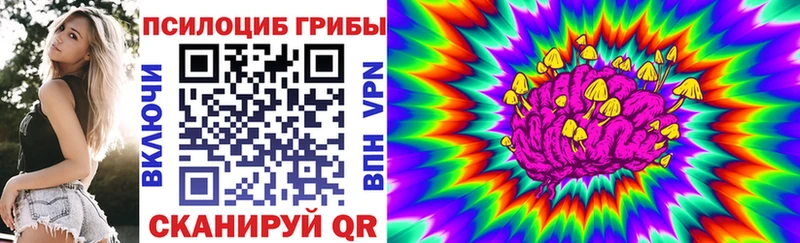 Псилоцибиновые грибы прущие грибы  Гусиноозёрск 